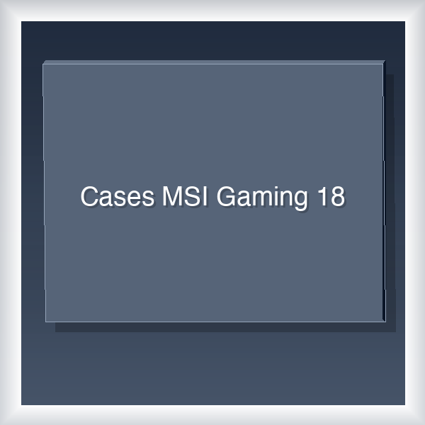 Cases MSI Gaming 18