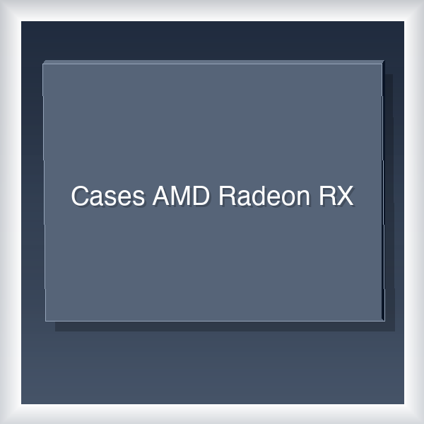 Cases AMD Radeon RX 20