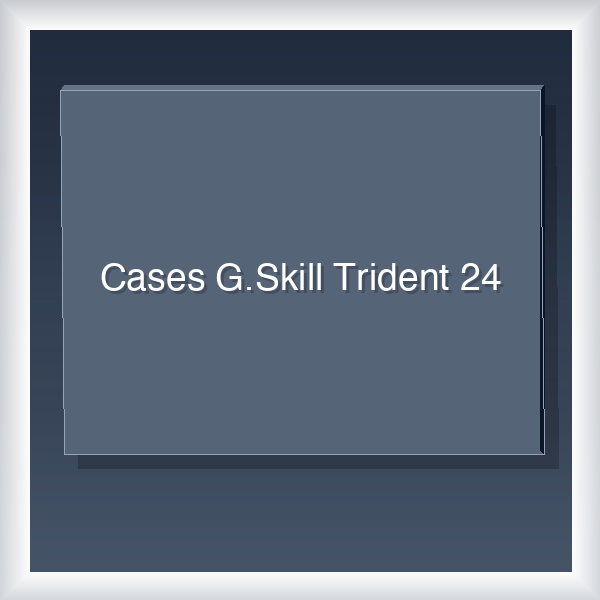 Cases G.Skill Trident 24