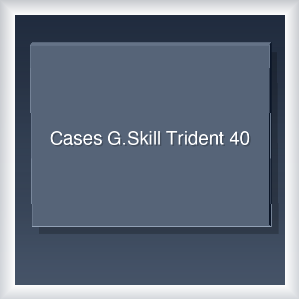 Cases G.Skill Trident 40