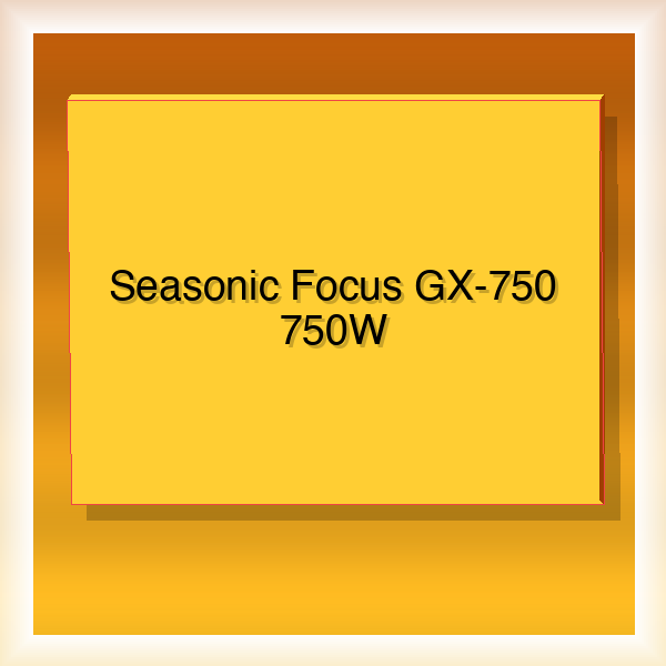 Seasonic Focus GX-750 750W 80+ Gold Fully Modular