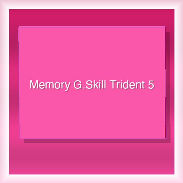 Memory G.Skill Trident 5