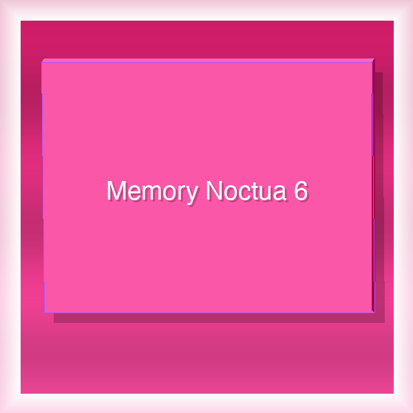 Memory Noctua 6