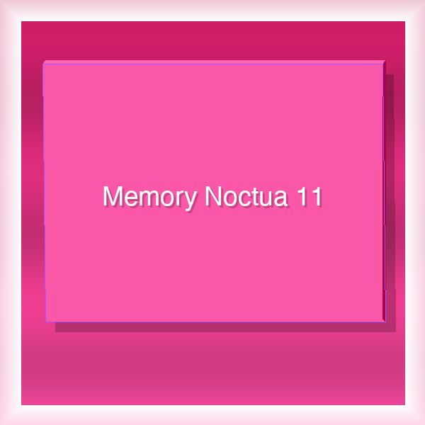 Memory Noctua 11