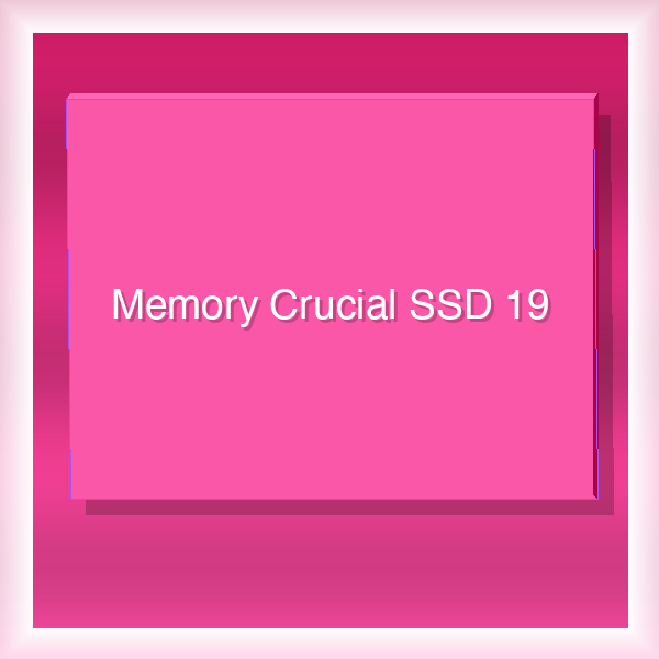 Memory Crucial SSD 19