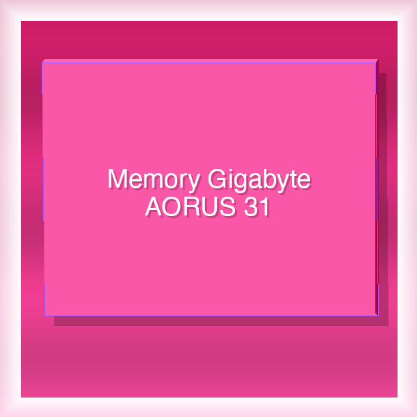Memory Gigabyte AORUS 31