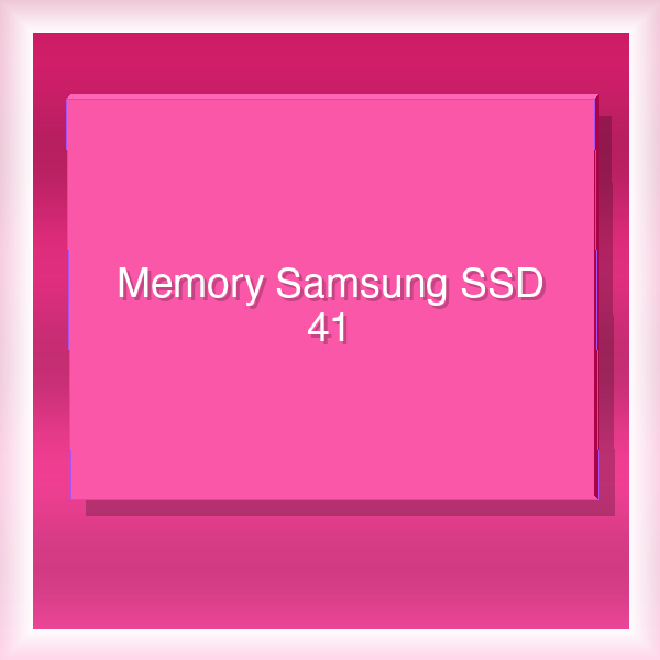 Memory Samsung SSD 41
