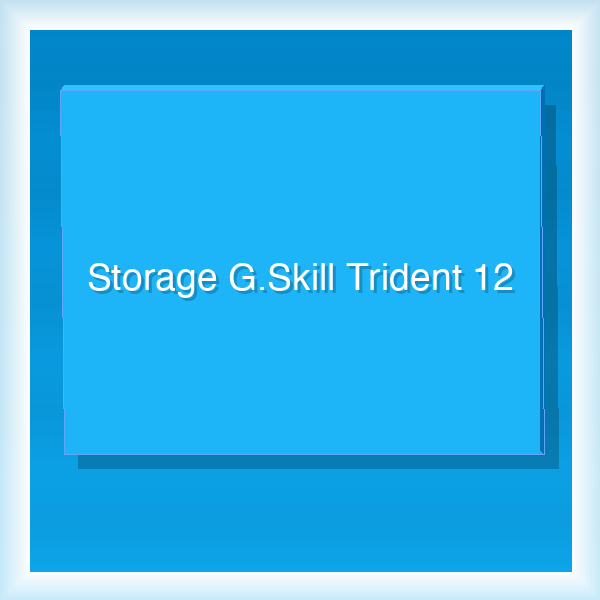 Storage G.Skill Trident 12