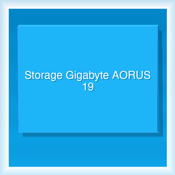 Storage Gigabyte AORUS 19