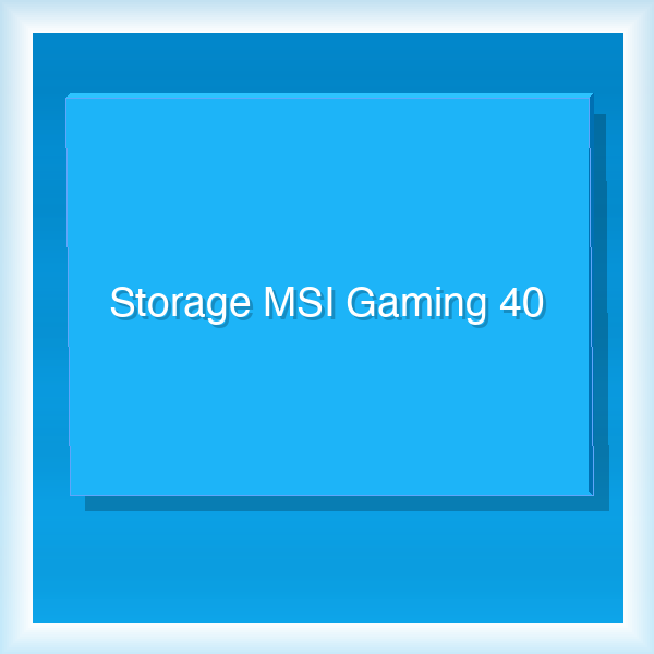 Storage MSI Gaming 40