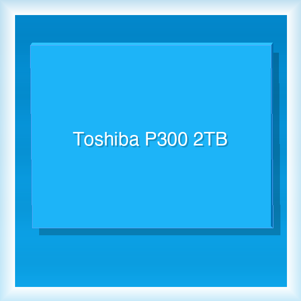 Toshiba P300 2TB