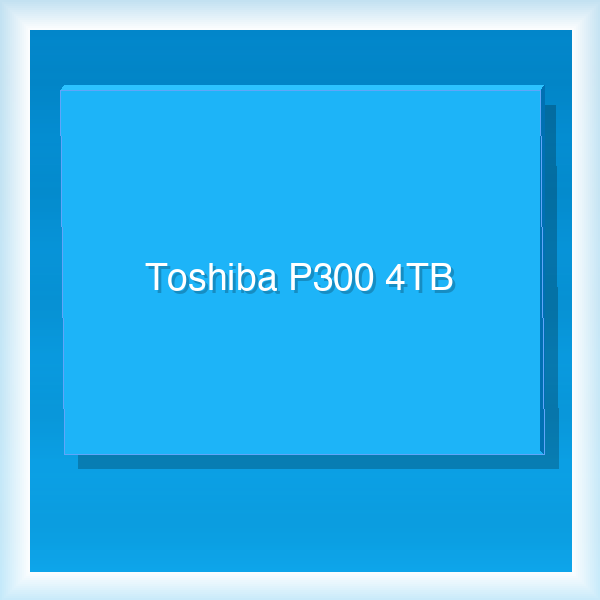 Toshiba P300 4TB